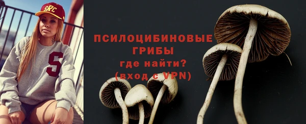 дживик Липки