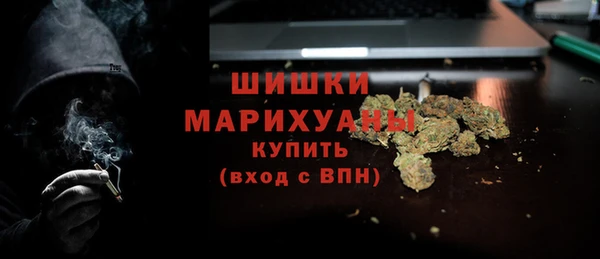 дживик Липки