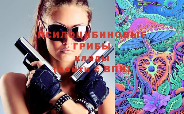 дживик Липки