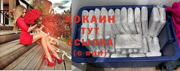 дживик Липки