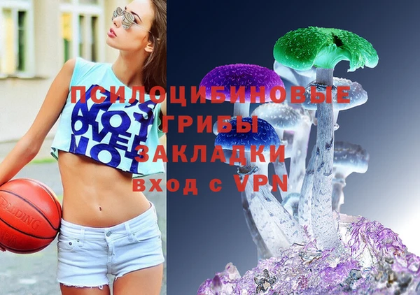 дживик Липки