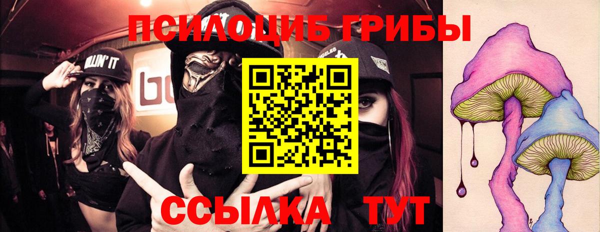 Псилоцибиновые грибы Psilocybine cubensis  Вход с VPN  Чита 
